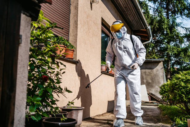 Best Pest Removal Services  in Erlanger, KY