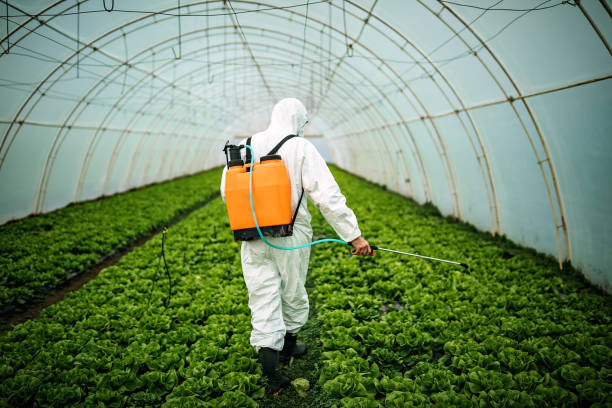 Pest Prevention Services in Erlanger, KY