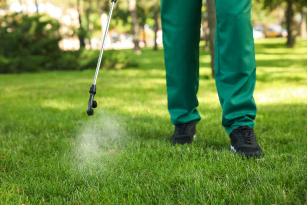 Best Termite Control Services  in Erlanger, KY
