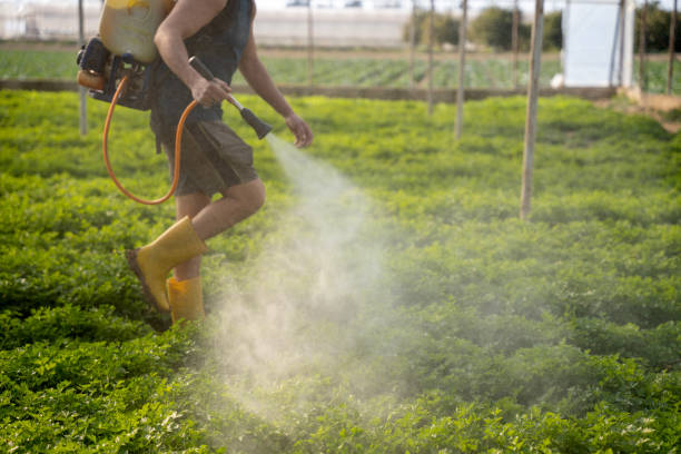Best Ant Control Services  in Erlanger, KY