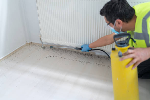 Best Commercial Pest Control Services  in Erlanger, KY